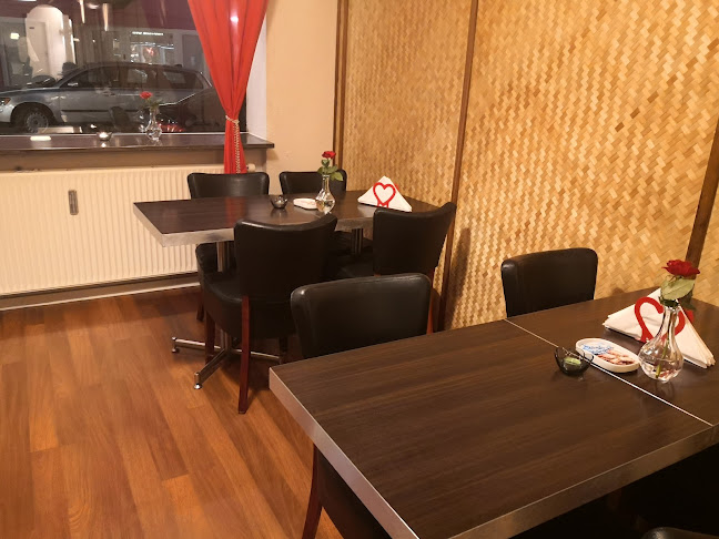 Comentarii opinii despre L TORO