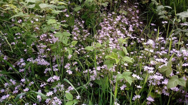 Amstrupgård - Gastronomi og hotelvirksomhed