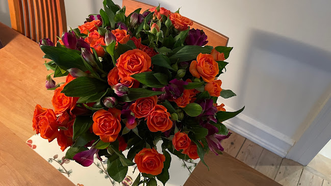 Cömert Blomster Rungsted - Gastronomi og hotelvirksomhed