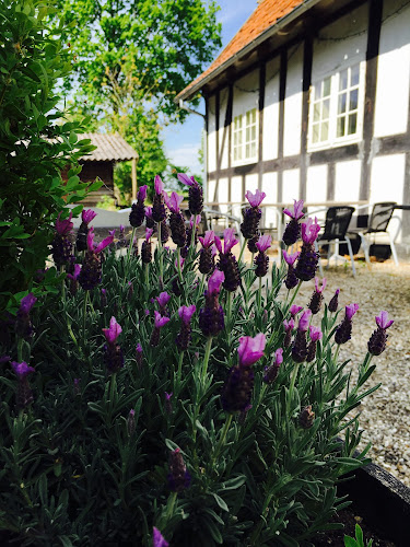 Comentarii opinii despre Brobygårds Køkken / Gastronaut