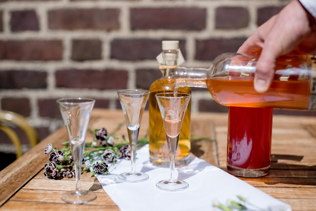 Maven - Gastronomi og hotelvirksomhed