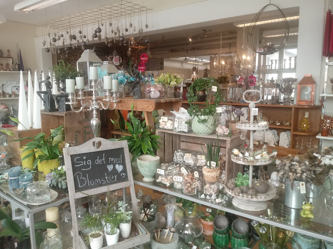 Comentarii opinii despre Johannes Dam & Søn