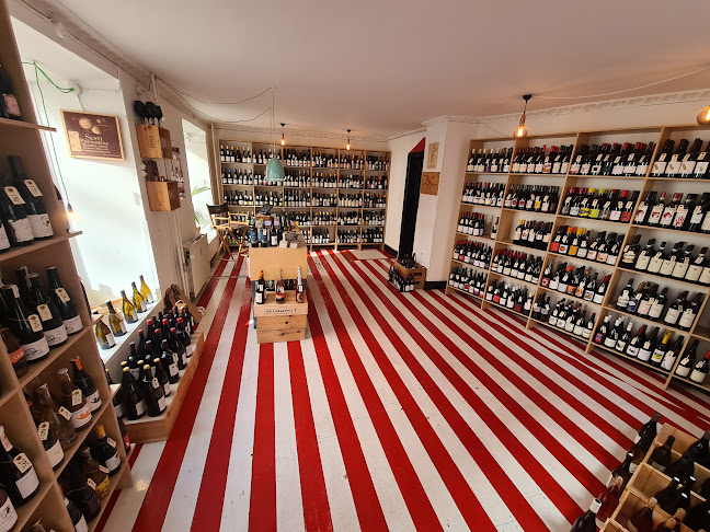 Comentarii opinii despre Niche Vine