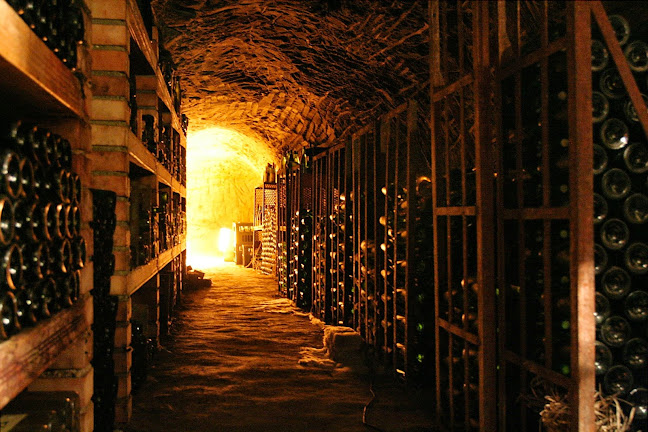 Wohlenberg Vinhandel - Gastronomi og hotelvirksomhed