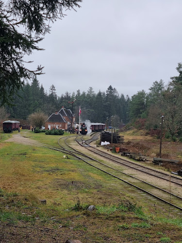 Opinii despre Vrads Station în Bryrup - Gastronomi og hotelvirksomhed