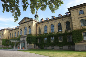 Madhouse Konference Middelfart