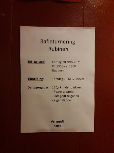 Comentarii opinii despre Den Røde Rubin