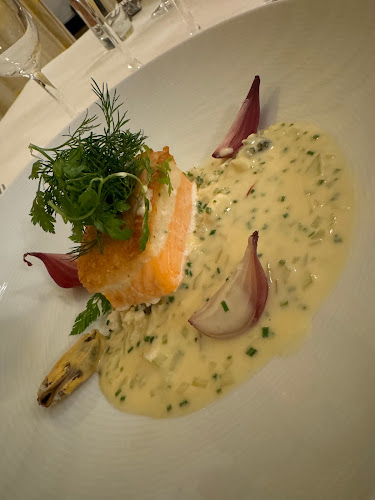 Comentarii opinii despre Varna Palæet