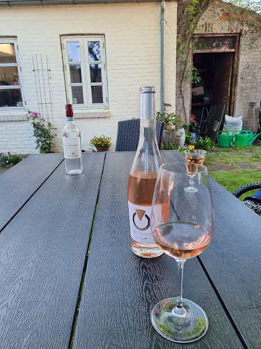 Comentarii opinii despre Wineloversandmore