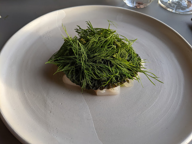 Comentarii opinii despre Limfjordens hus