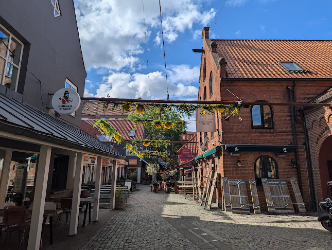 Christian Firtal - Odense