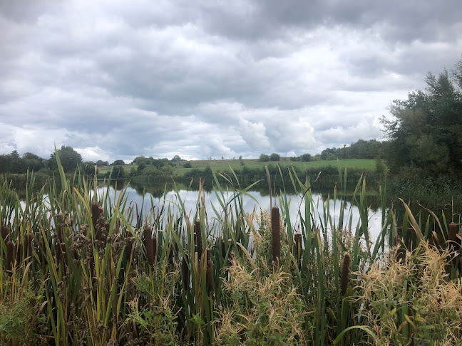 Comentarii opinii despre Barløseborg Golfklub