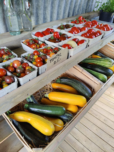 Comentarii opinii despre Lillesyd Forsamlingshus