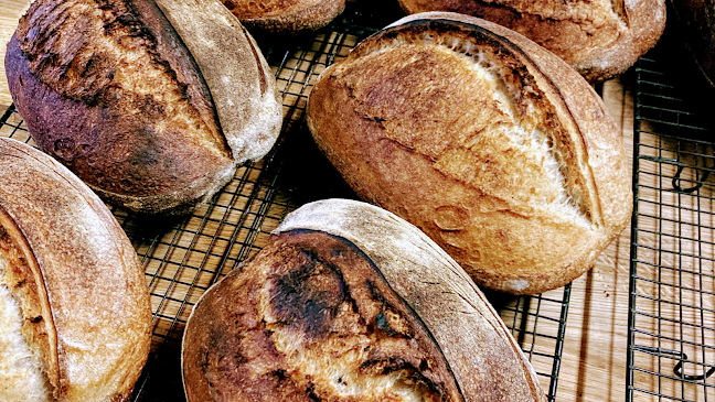 Grønsundvej 595, 4793 Bogø By