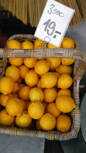 Comentarii opinii despre Choff