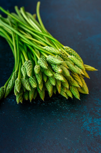 Comentarii opinii despre Brammers Menuer