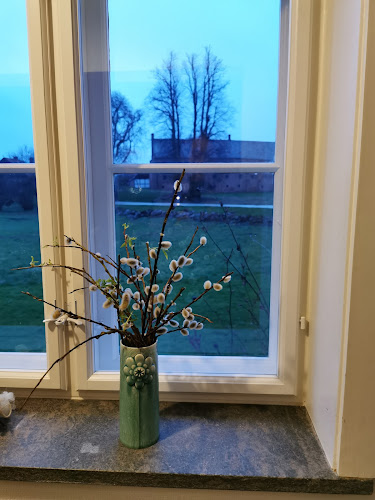 Comentarii opinii despre Møllecaféen