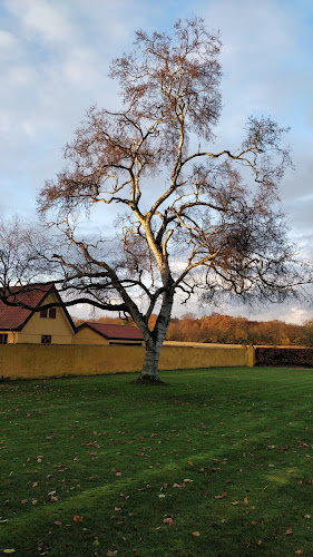 Opinii despre Wenneberg galleri în Køge - Gastronomi og hotelvirksomhed