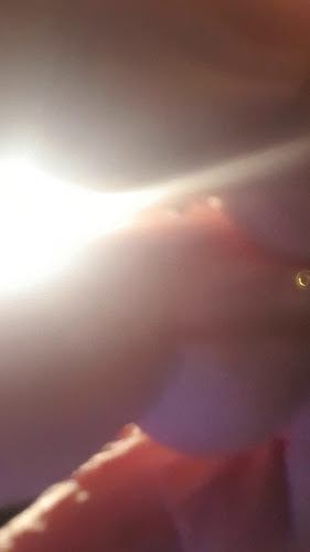 Kirketorvet 8, 8310 Tranbjerg