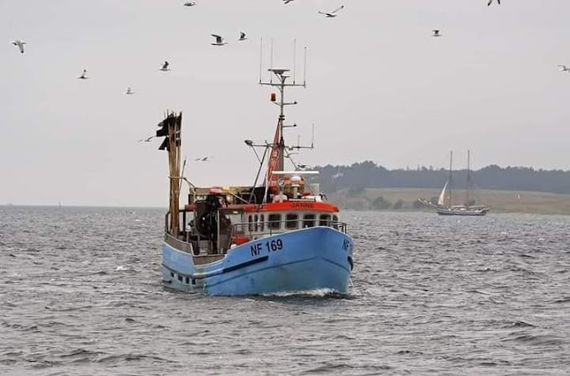 Opinii despre Langø Fiskevogn în Nakskov - Gastronomi og hotelvirksomhed