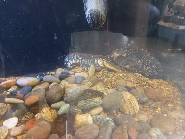 Comentarii opinii despre Skagen Frisk A/S