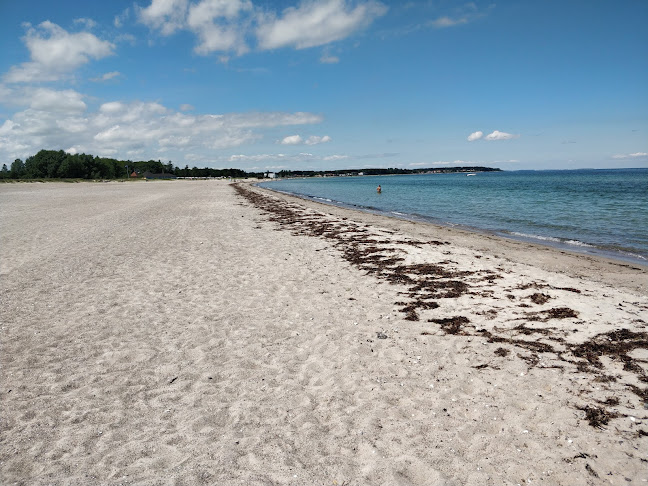 Comentarii opinii despre Café Sct. Knuds