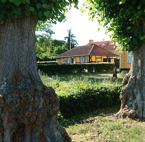 Comentarii opinii despre Café Skjalms Have