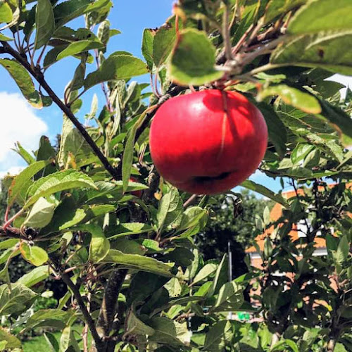 Oak River Farm - Ribe