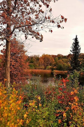 Comentarii opinii despre Restaurant Byparken