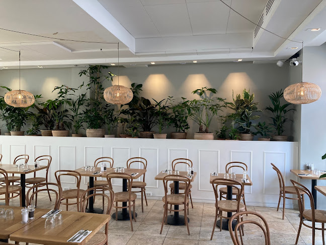 Comentarii opinii despre Ø12 Coffee and Eatery