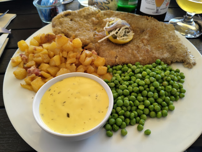 Comentarii opinii despre Frankel 5