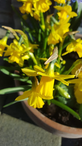 Comentarii opinii despre Røde Kors Cafe