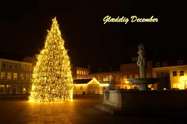 Comentarii opinii despre Skøtts Kaffebar