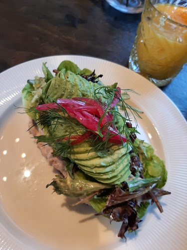 Comentarii opinii despre Krøyers