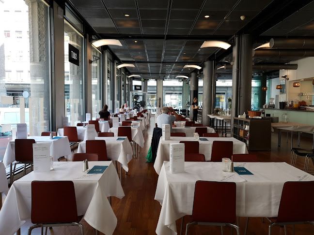 Comentarii opinii despre Sult