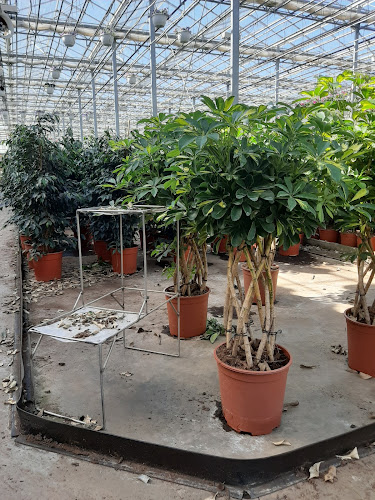 Lødekæret 5, 5450 Otterup, Danmark