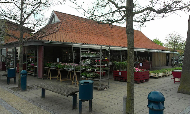 Comentarii opinii despre Renés Vin Og Grønttorv