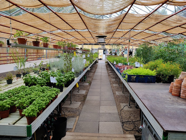 Comentarii opinii despre Sct. Hans Have