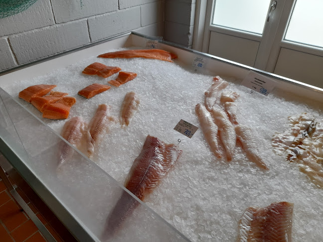 Vorupør Røgeri - Thisted