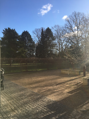 Comentarii opinii despre Den Bette