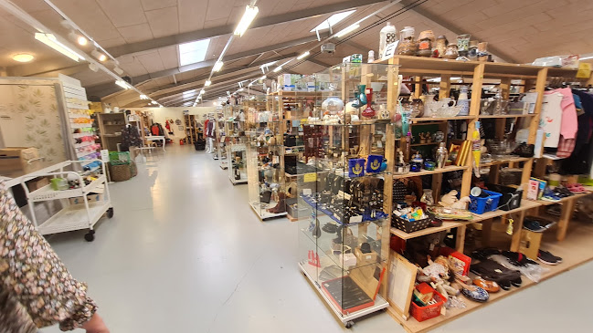 Opinii despre Guld & Rod Ribe în Ribe - Gastronomi og hotelvirksomhed