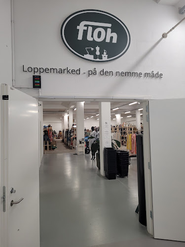 Comentarii opinii despre Floh