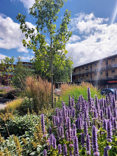 Comentarii opinii despre Kong Kylling v/Arya ApS