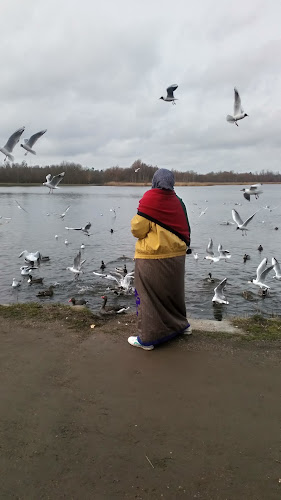 Rosentorvet 6, 4000 Roskilde