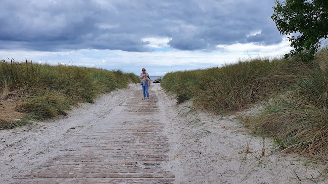 Comentarii opinii despre Strandløven