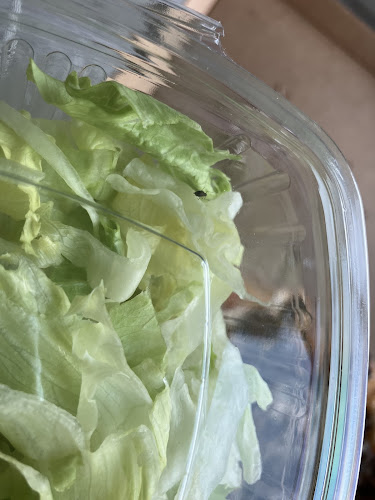 Mexi-Taliano Pizzeria - Gastronomi og hotelvirksomhed