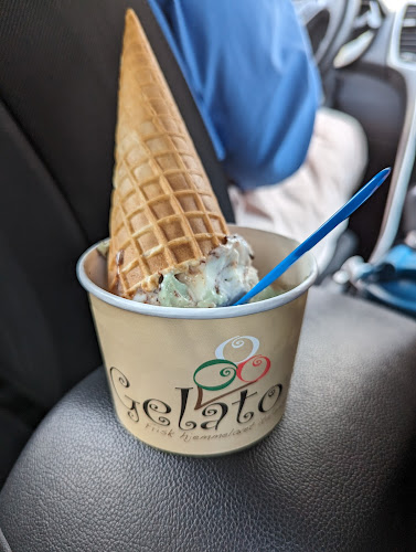 Gelato - Gastronomi og hotelvirksomhed
