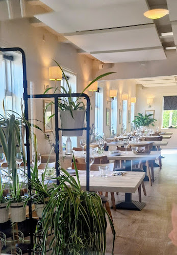 Det Vilde Køkken - Gastronomi og hotelvirksomhed