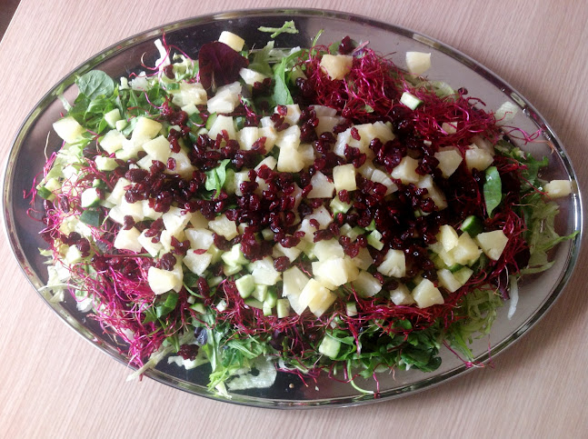 Møllebistroen - Gastronomi og hotelvirksomhed