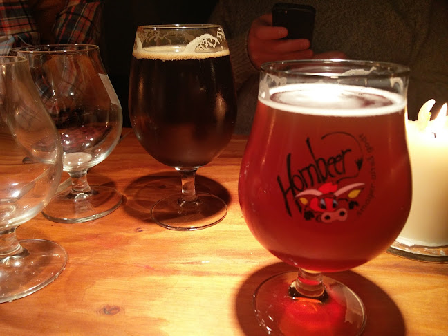 Comentarii opinii despre Skänk øl, vin & madbar Roskilde